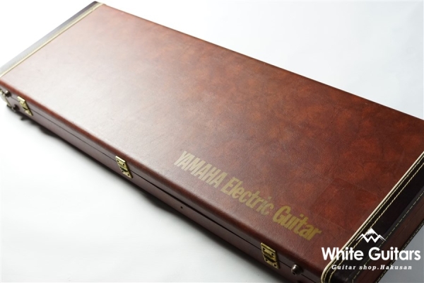 Pacifica USA-2 Custom